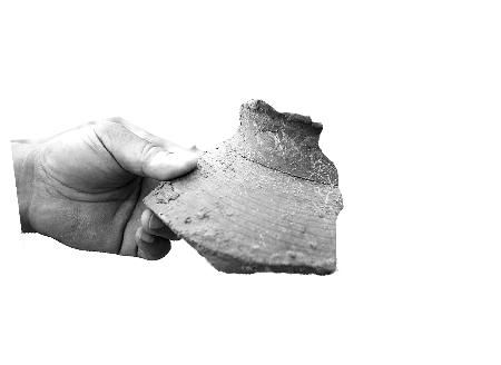 工地发现西汉墓葬群：散落大量黑青色砖瓦