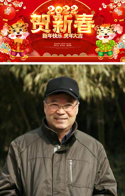 福虎贺岁 翰墨迎春——著名画家沈风涛作品鉴赏